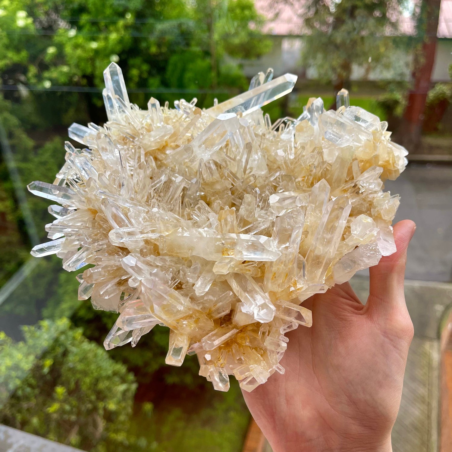 Golden Healer Lemurian Quartz Clusters ๐