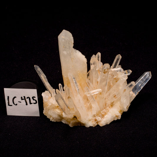 Golden Healer Blue Smoke Needle Lemurian Quartz Cluster (LC-425)