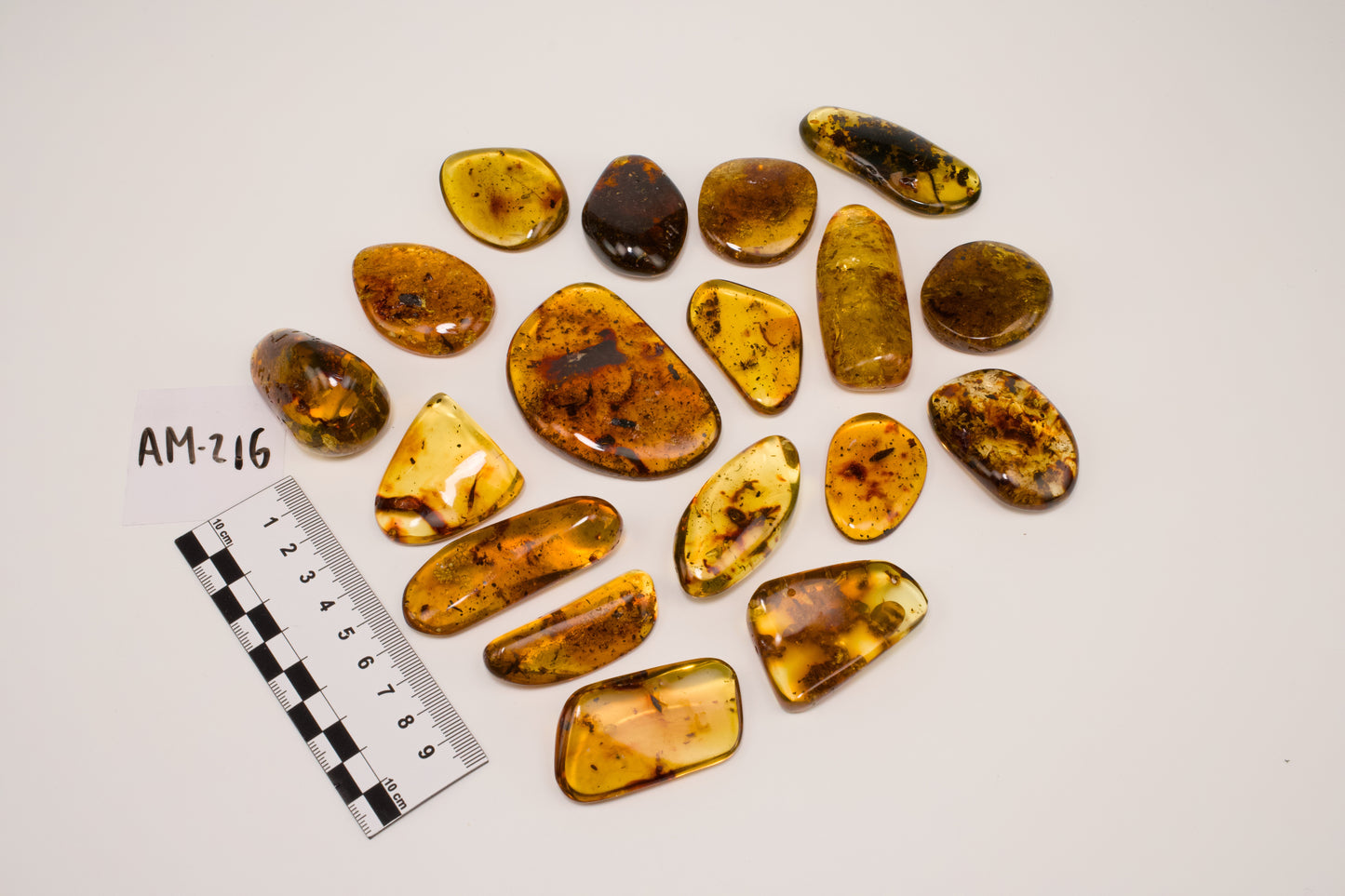 Hand Polished Amber WHOLESALE (AM-216)