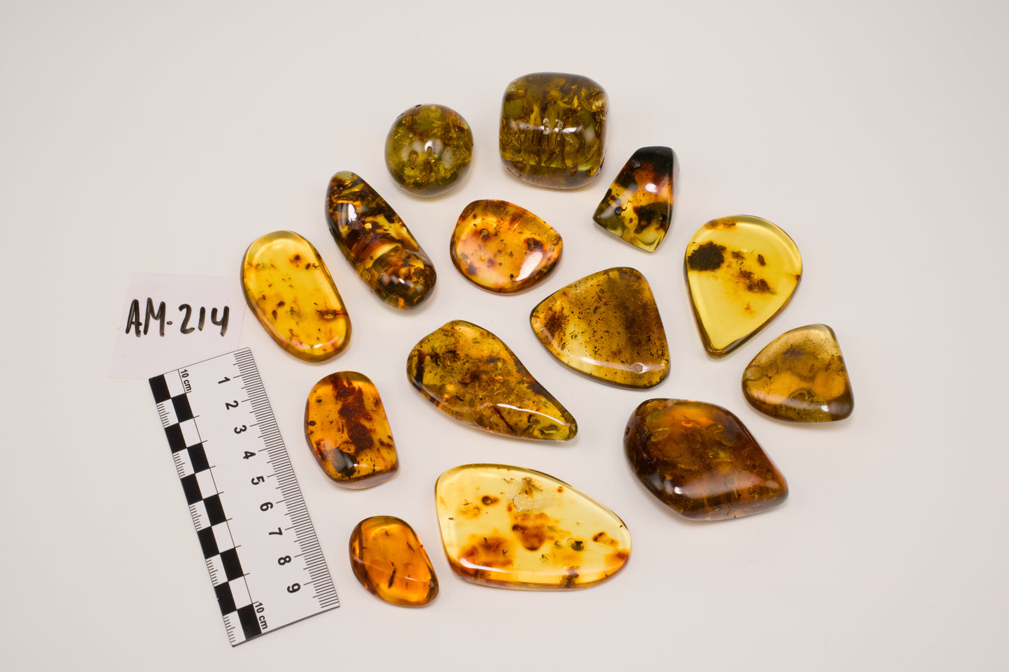 Hand Polished Amber WHOLESALE (AM-214)