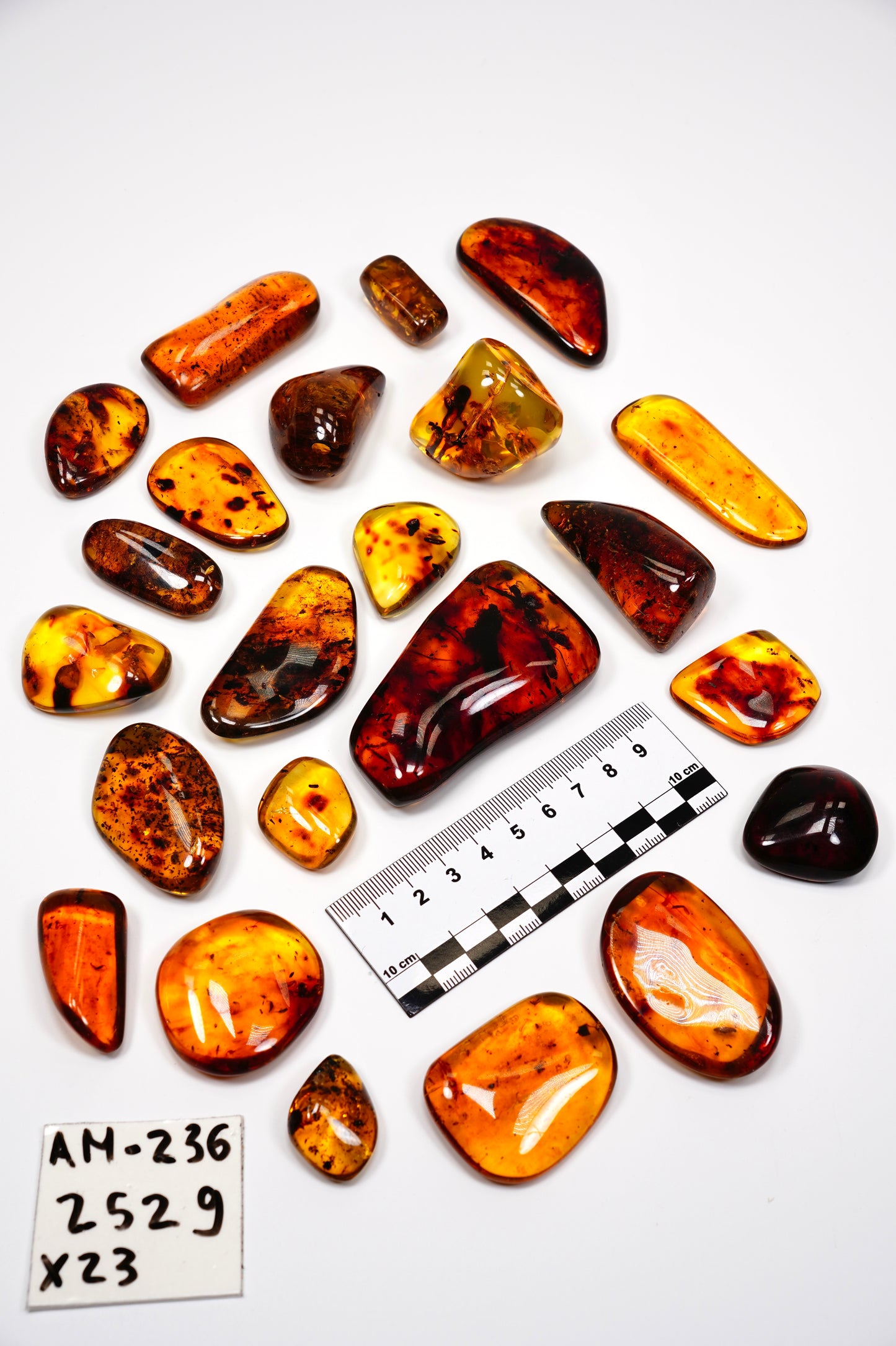 Hand Polished Amber WHOLESALE x23 pieces (AM-236)