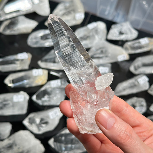 Peñas Blancas Lemurian Quartz Crystal Points (Medium/Large Size) by the kilo BULK