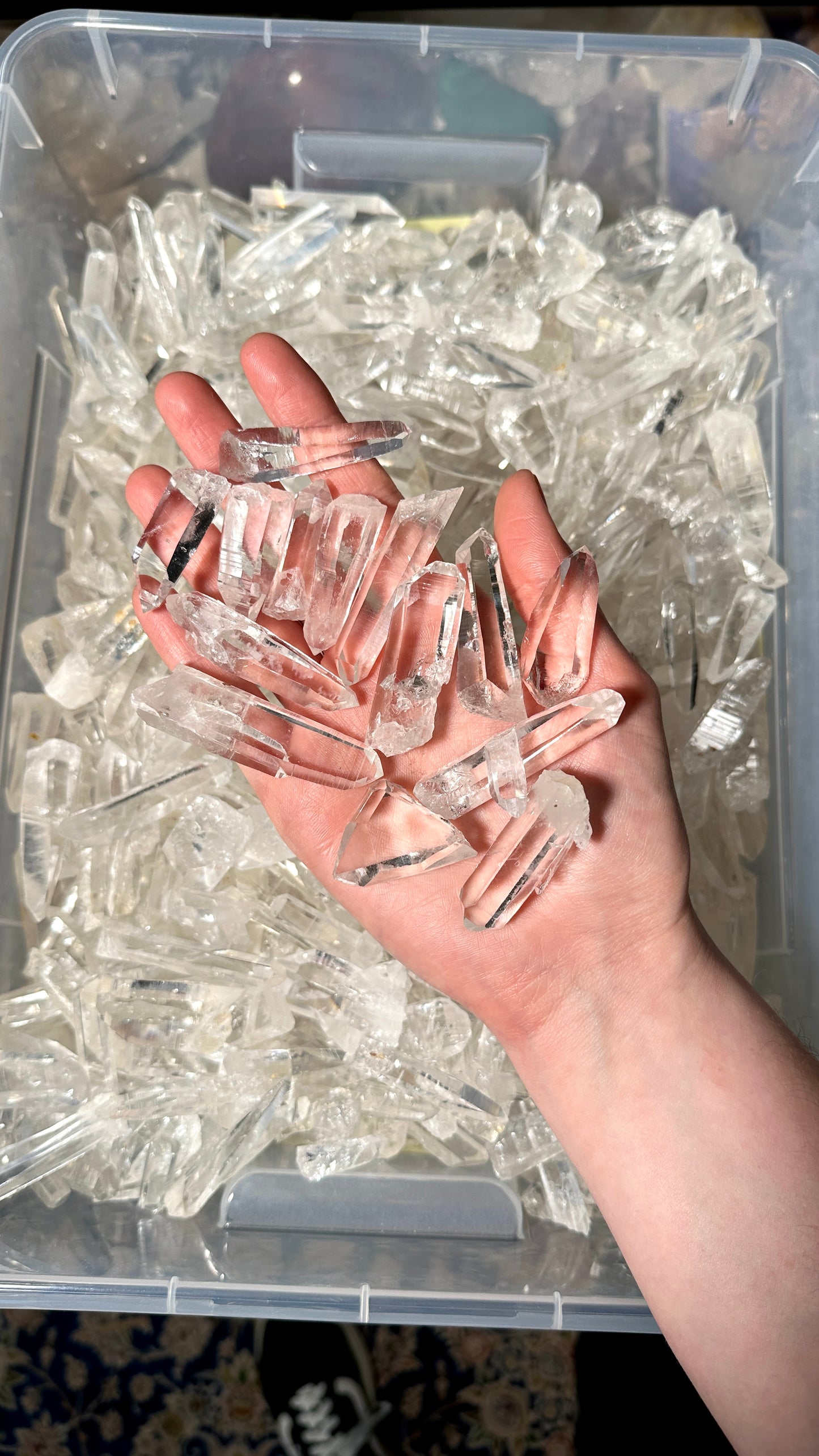 Peñas Blancas Lemurian Quartz Crystal Points (Mini Size) by the kilo BULK