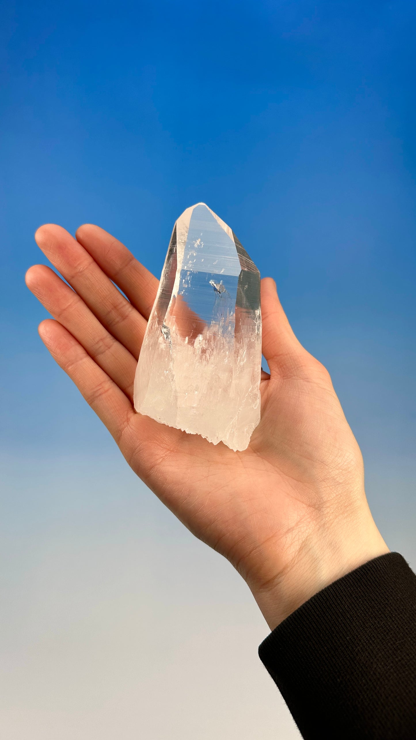 Elestial Peñas Blancas Point de quartz lémurien (Lot : CO-230) Spécimen de collection