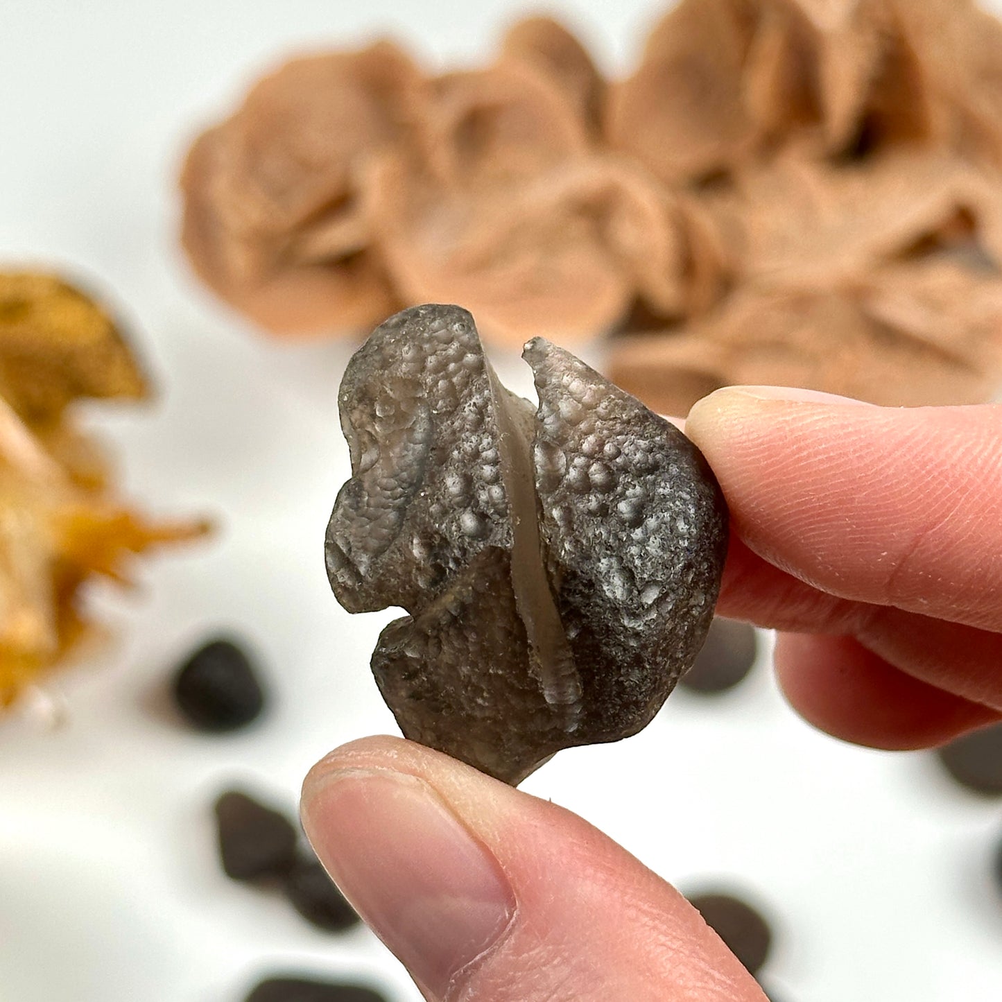 Colombianite Tektite Museum Quality (CT-120)