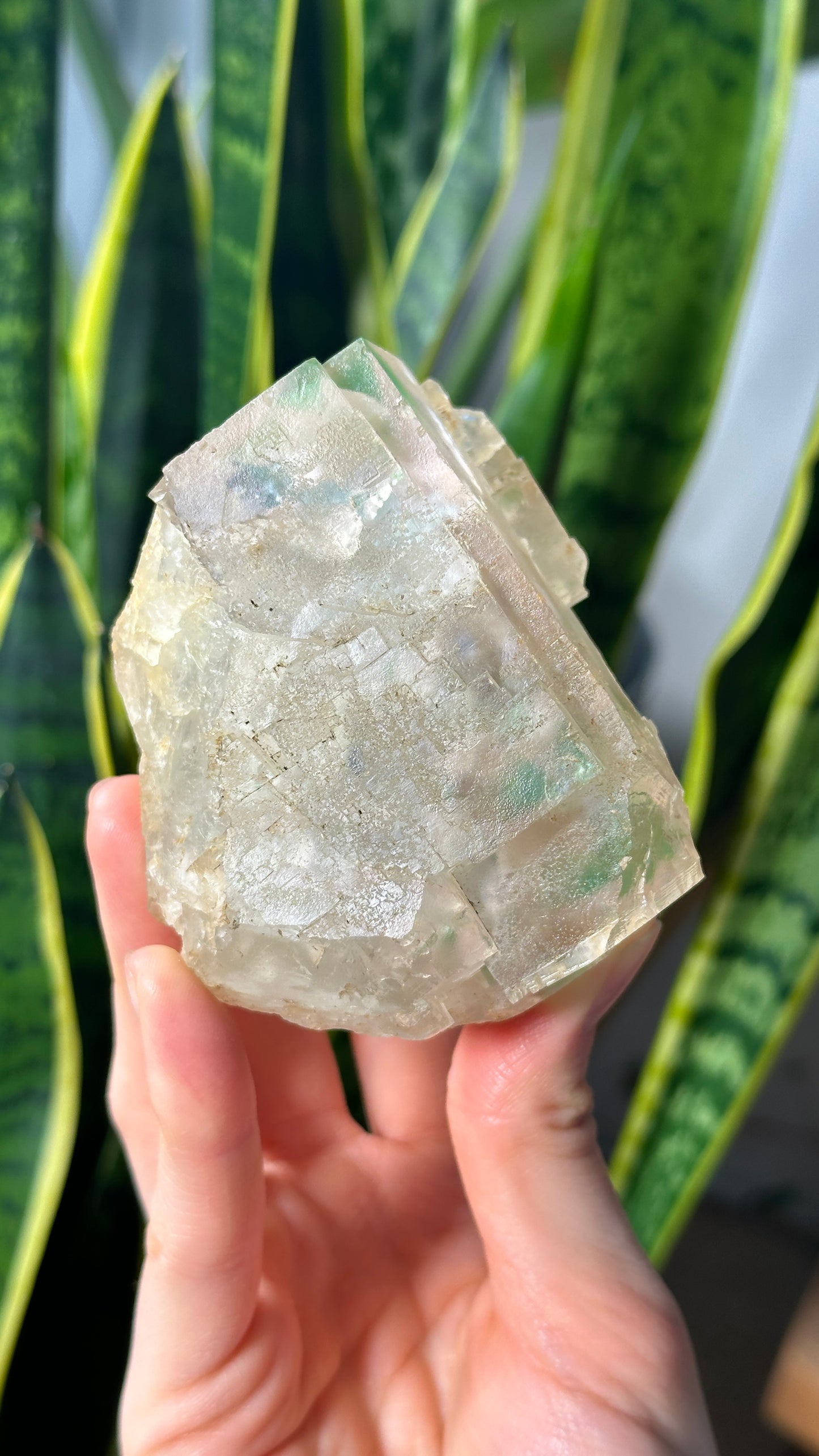 Green Phantom Yttrium Fluorite. Peñas Blancas Mine (LOT: GF-169)