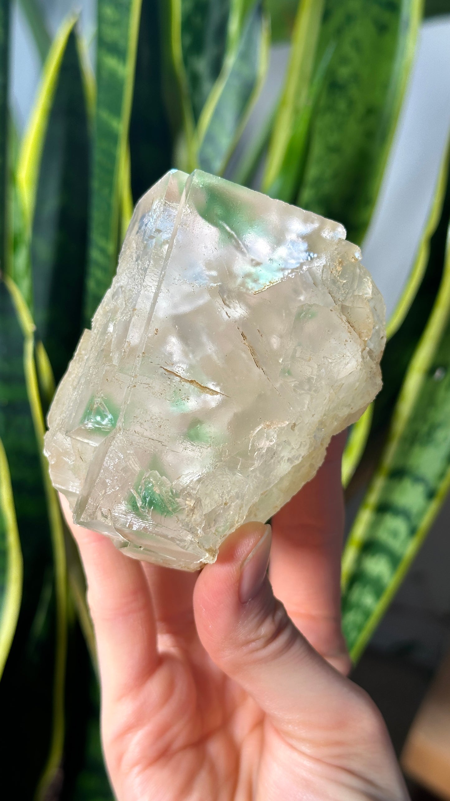 Green Phantom Yttrium Fluorite. Peñas Blancas Mine (LOT: GF-169)