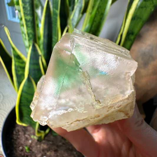 Green Phantom Yttrium Fluorite. Peñas Blancas Mine (LOT: GF-169)