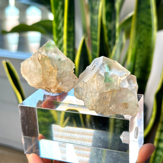 Green Phantom Yttrium Fluorite. Peñas Blancas Mine (LOT: GF-171)