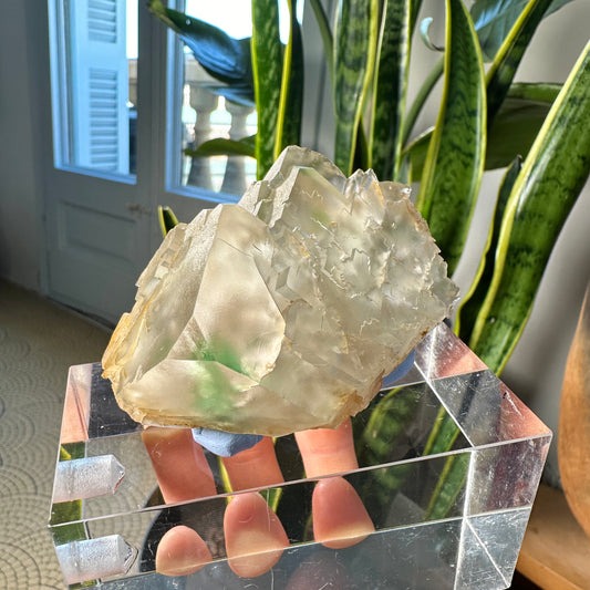 Green Phantom Yttrium Fluorite. Peñas Blancas Mine (LOT: GF-166)