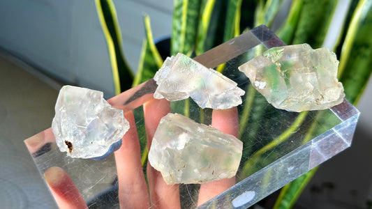Green Phantom Yttrium Fluorite. Peñas Blancas Mine (LOT: GF-186)