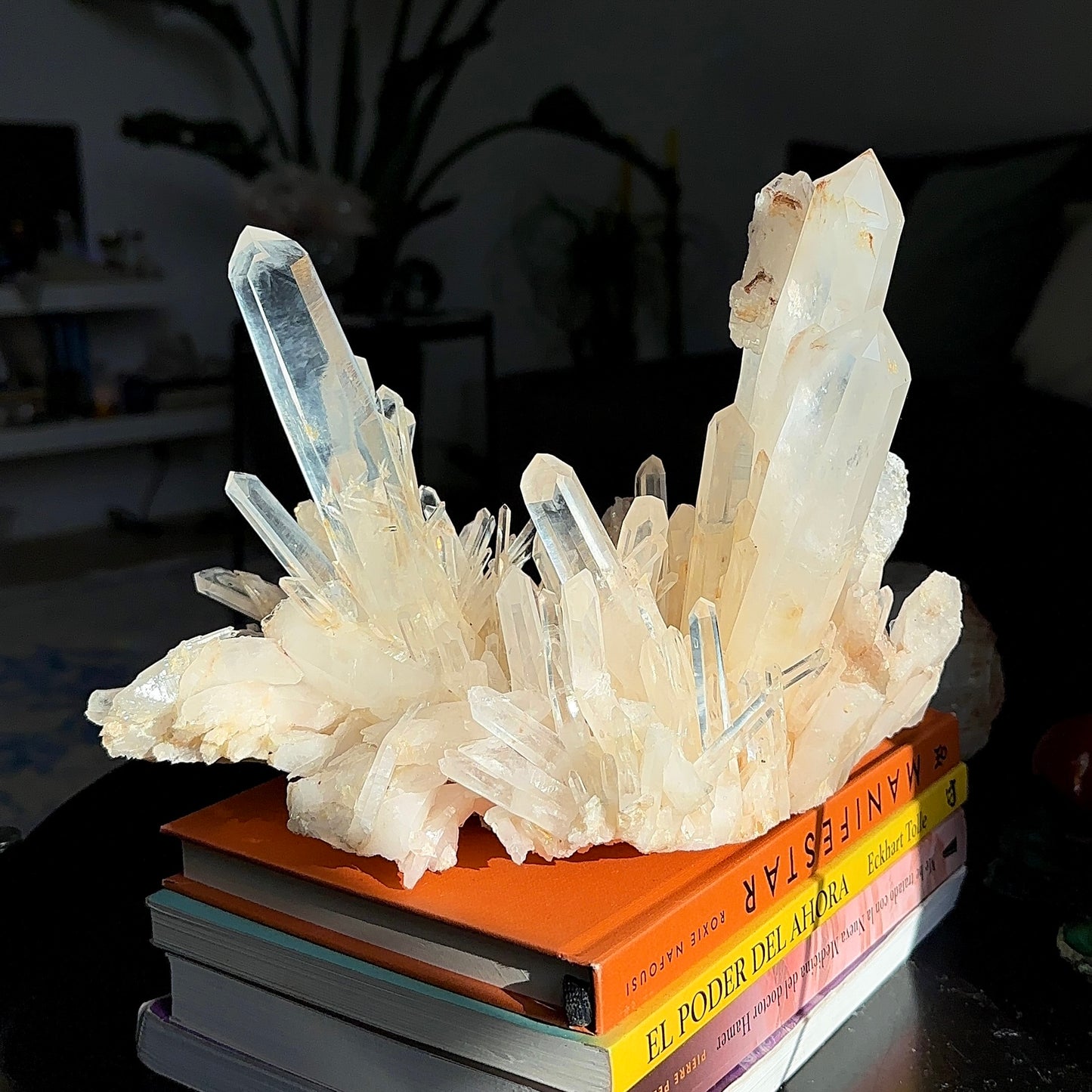 DNA Blue Smoke Lemurian Quartz Cluster Collector Specimen (Lot: LC-242)