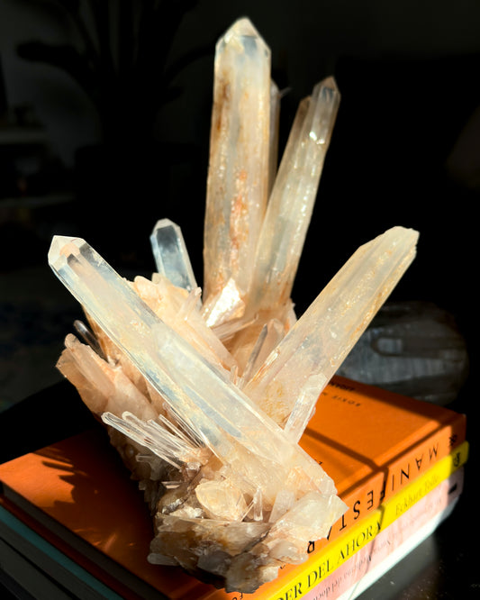 Elestial DNA Golden Healer Blue Smoke Lemurian Quartz Cluster Collector Specimen (Lot: LC-243)