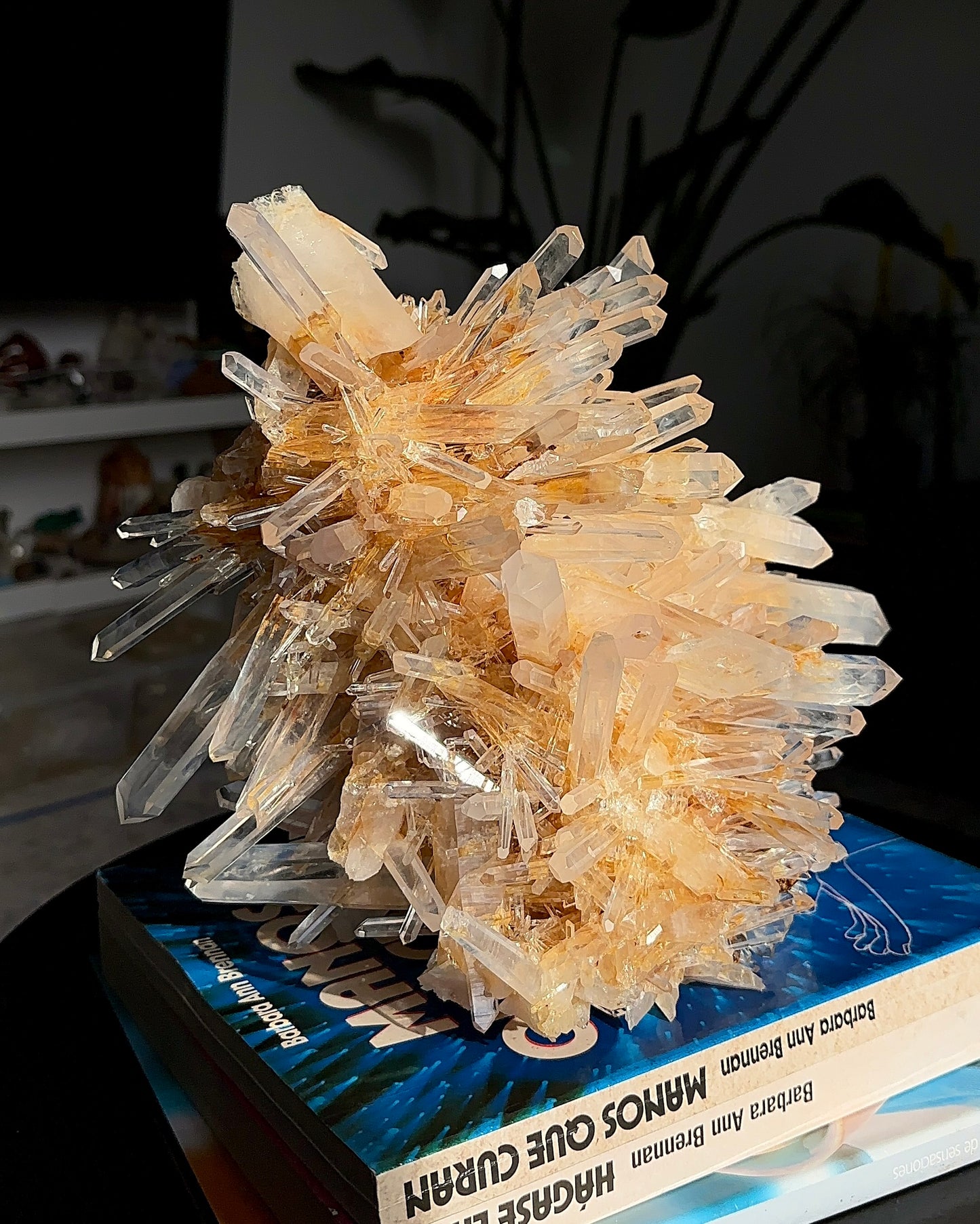 Extra rare! Starburst Golden Healer Needle Lemurian Quartz Cluster Collector Specimen with Elestial side (Lot: LC-244)