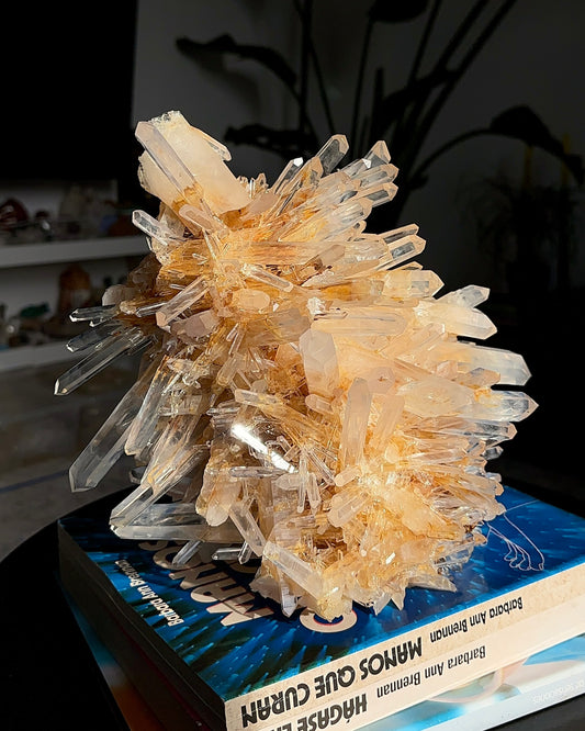 Extra rare! Starburst Golden Healer Needle Lemurian Quartz Cluster Collector Specimen with Elestial side (Lot: LC-244)
