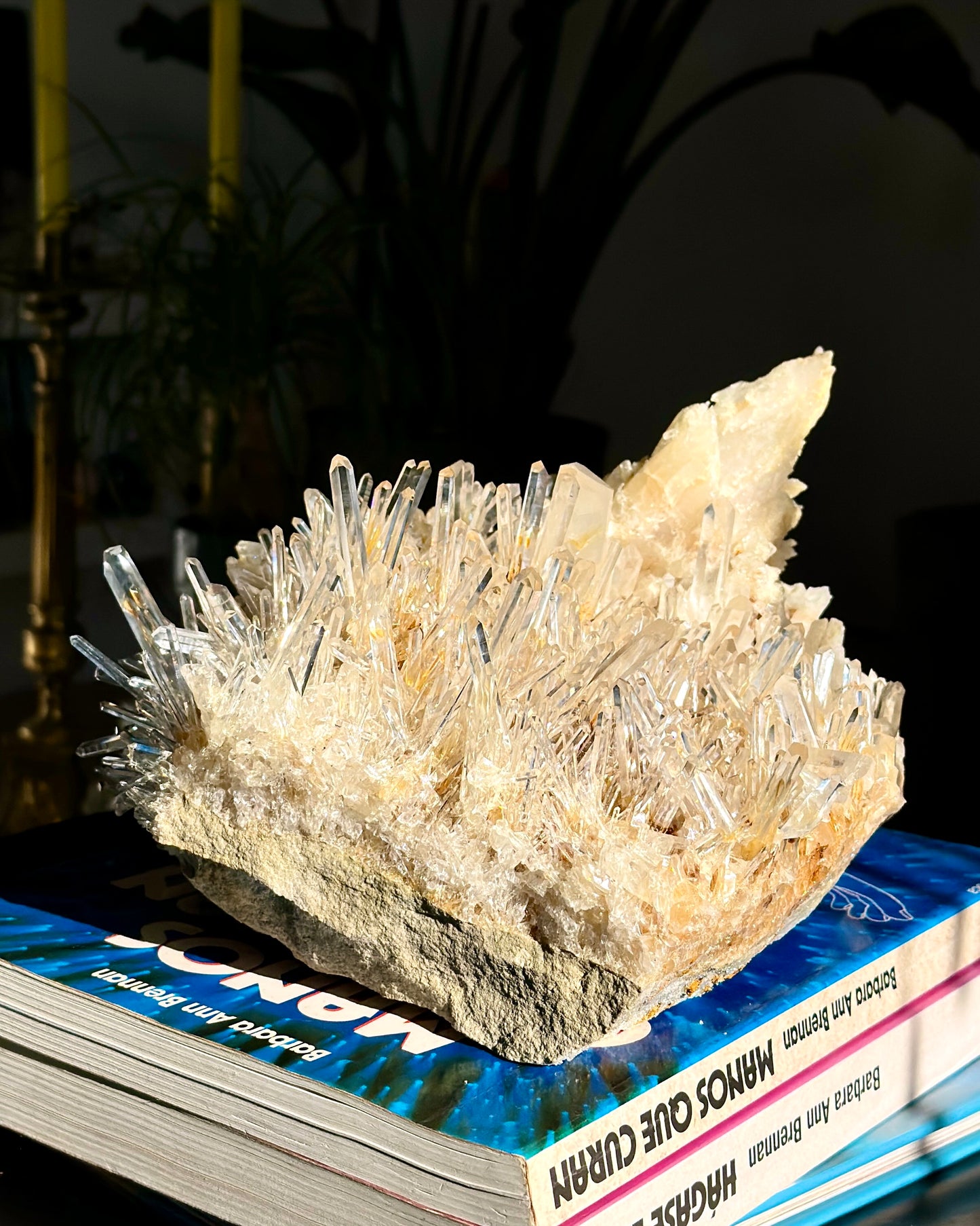 Golden Healer Needle Lemurian Quartz Cluster WHOLESALE (Lot: LC-247)