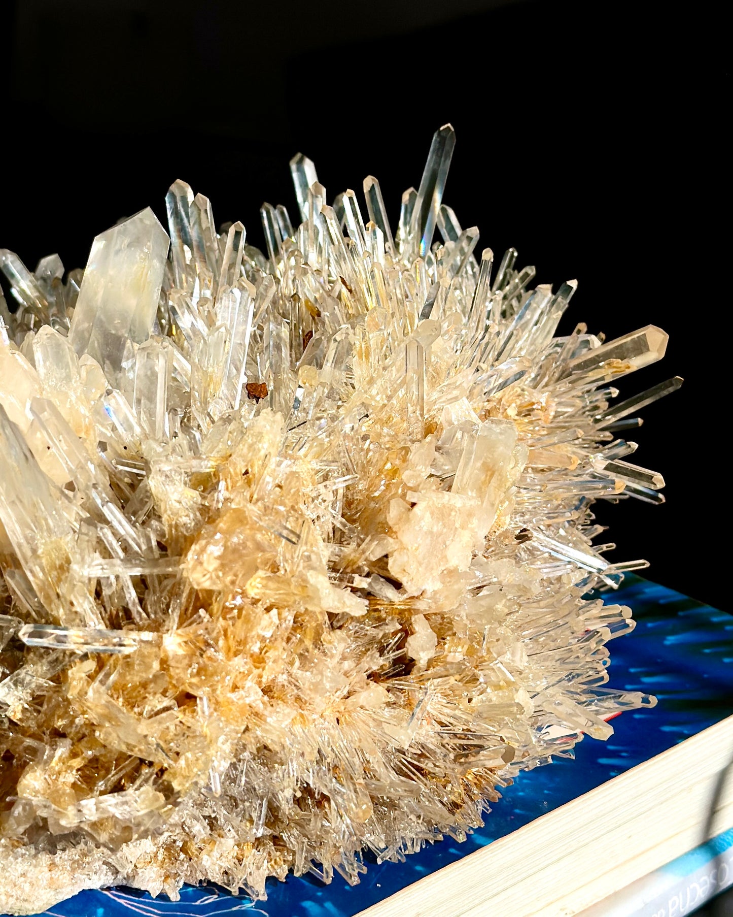 Golden Healer Needle Lemurian Quartz Cluster WHOLESALE (Lot: LC-247)