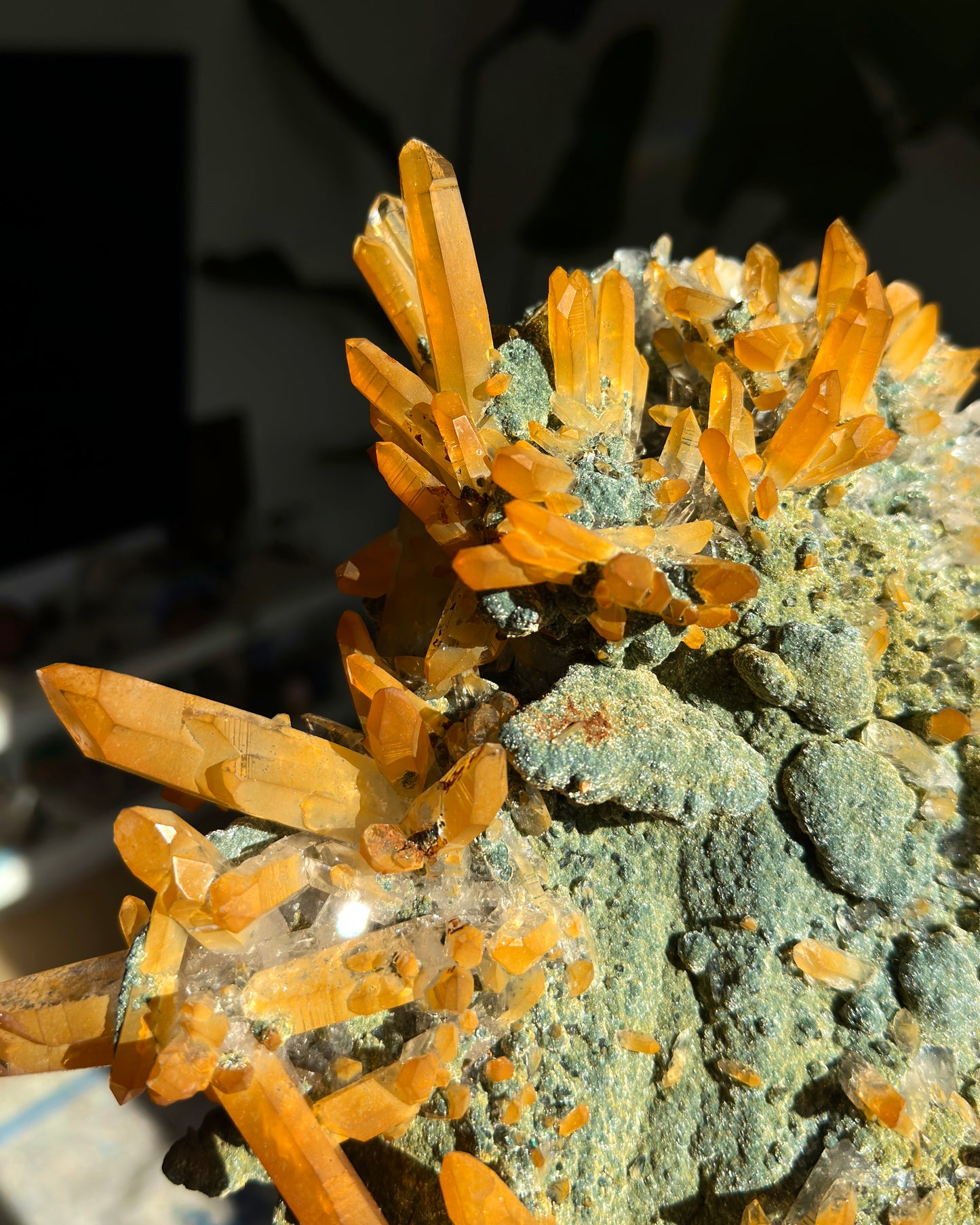 Extra Rare! Golden Healer Green Lemurian Quartz Cluster Collector Specimen (Lot: CO-258)