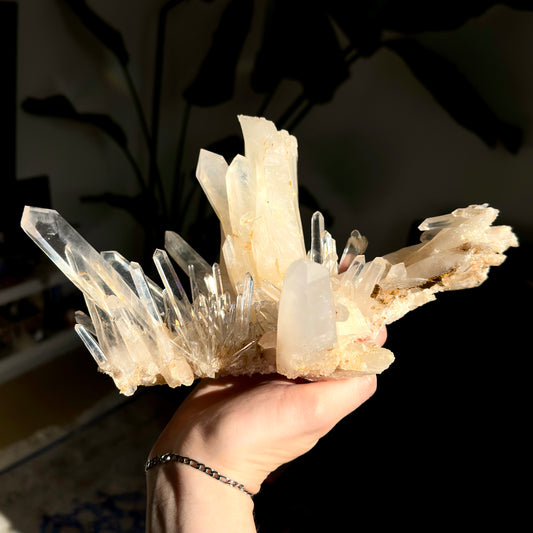 Extra Rare! DNA Needle Starburst Elestial Golden Healer Blue Smoke Lemurian Quartz Cluster Collector Specimen (Lot: LC-248)