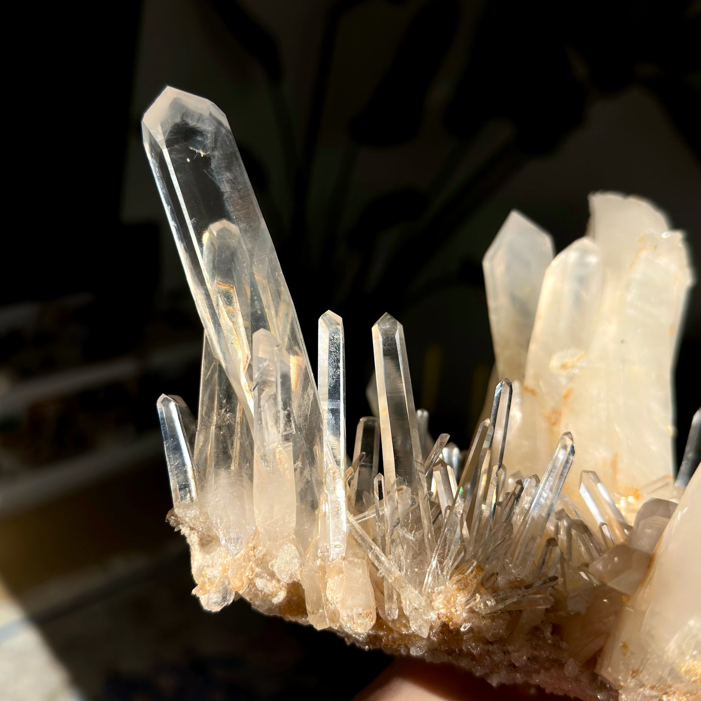 Extra Rare! DNA Needle Starburst Elestial Golden Healer Blue Smoke Lemurian Quartz Cluster Collector Specimen (Lot: LC-248)