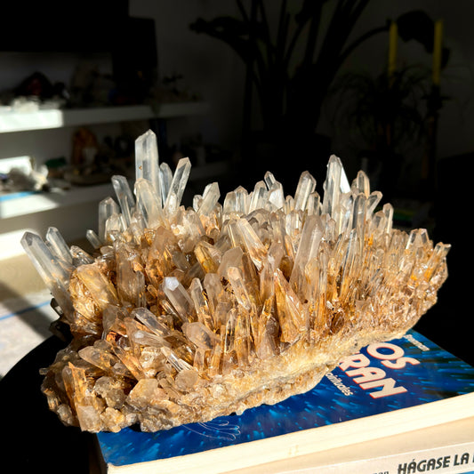 Golden Healer Needle Lemurian Quartz Cluster WHOLESALE (Lot: LC-249)