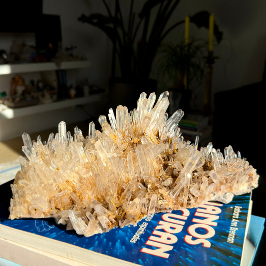 Golden Healer Needle Lemurian Quartz Cluster Collector Specimen (Lot: LC-250)