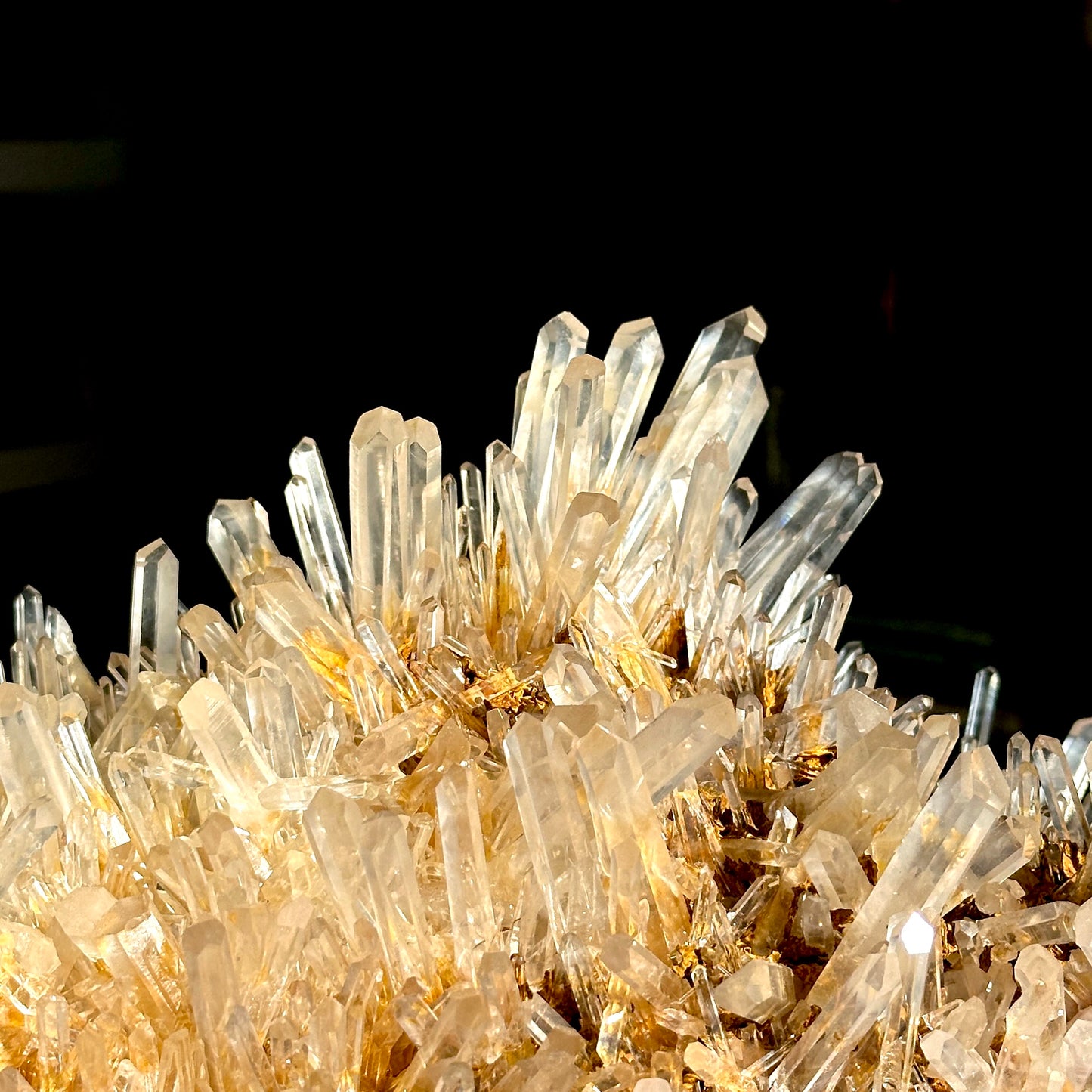 Golden Healer Needle Lemurian Quartz Cluster Collector Specimen (Lot: LC-250)