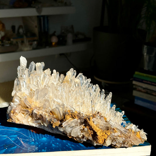 Golden Healer Needle Lemurian Quartz Cluster Collector Specimen (Lot: LC-251)