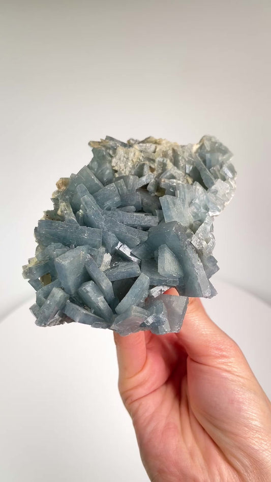 Blue Baritine / Baryte cluster Teresita mine Extra high quality specimen WHOLESALE (BR-6)