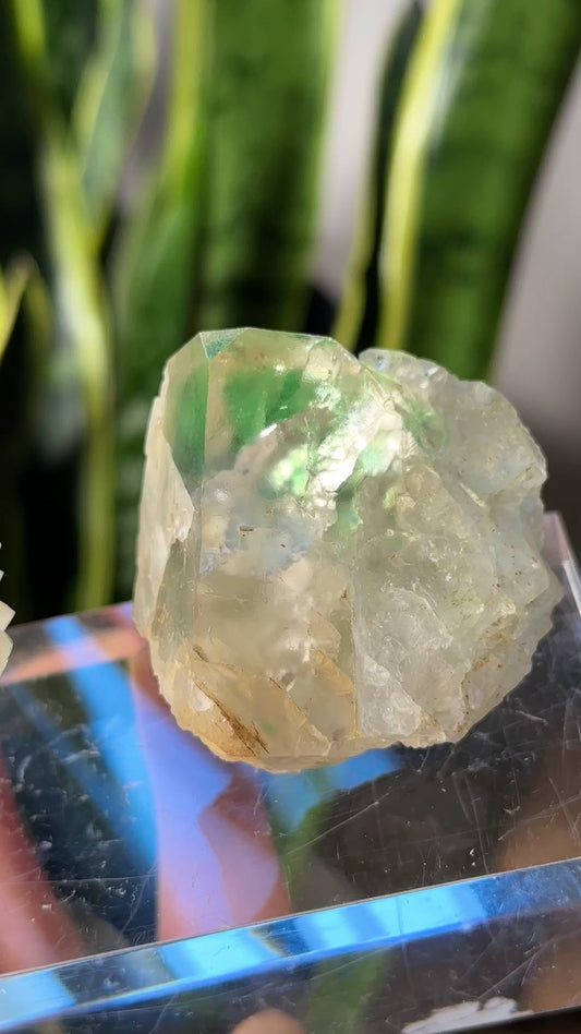 Green Phantom Yttrium Fluorite. Peñas Blancas Mine (LOT: GF-150)