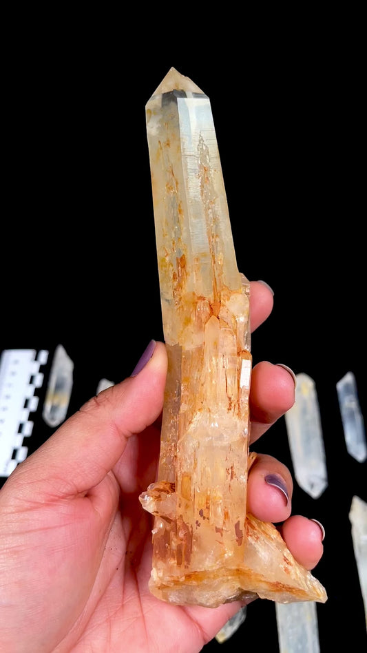 Golden Healer DNA Blue Smoke (Milton mine) Lemurian Quartz Crystal Wands Small, Medium and Large size WHOLESALE (BS-169)