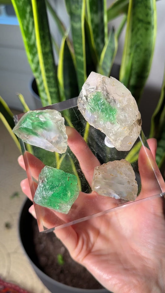 Green Phantom Yttrium Fluorite. Peñas Blancas Mine (LOT: GF-153)