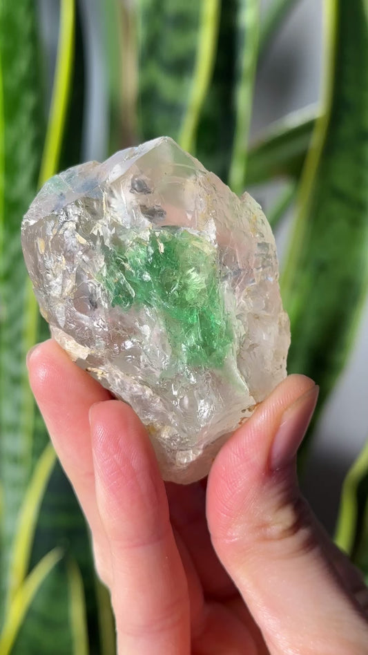 Green Phantom Yttrium Fluorite. Peñas Blancas Mine (LOT: GF-153)