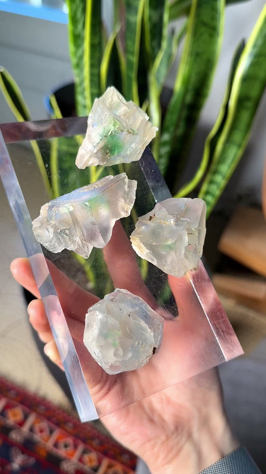 Green Phantom Yttrium Fluorite. Peñas Blancas Mine (LOT: GF-186)