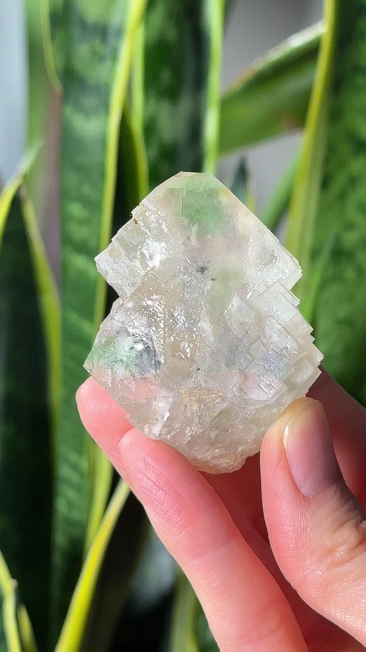 Green Phantom Yttrium Fluorite Peñas Blancas Mine (LOT: GF-172)
