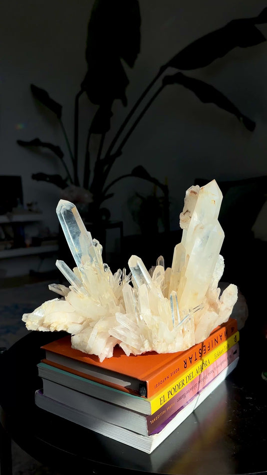 DNA Blue Smoke Lemurian Quartz Cluster Collector Specimen (Lot: LC-242)