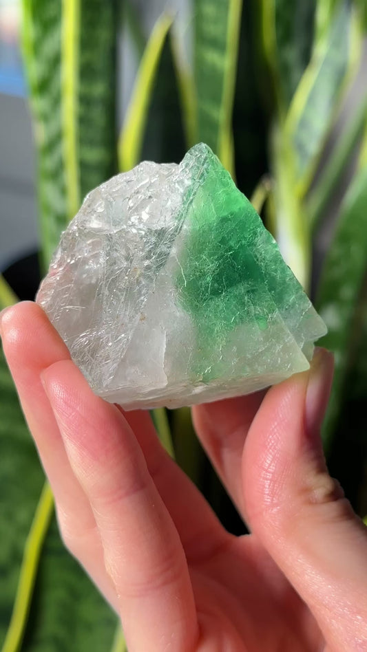 Green Phantom Yttrium Fluorite. Peñas Blancas Mine (LOT: GF-164)