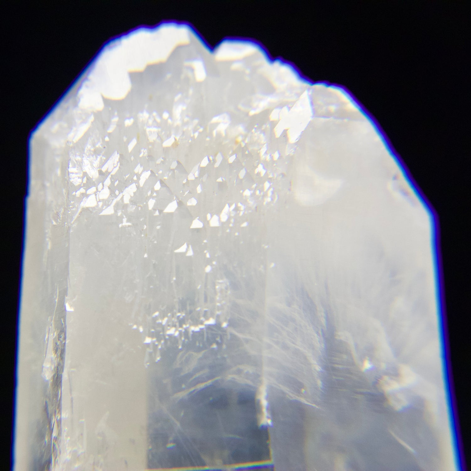 Elestial Crown Blue Smoke Quartz Wands 👑