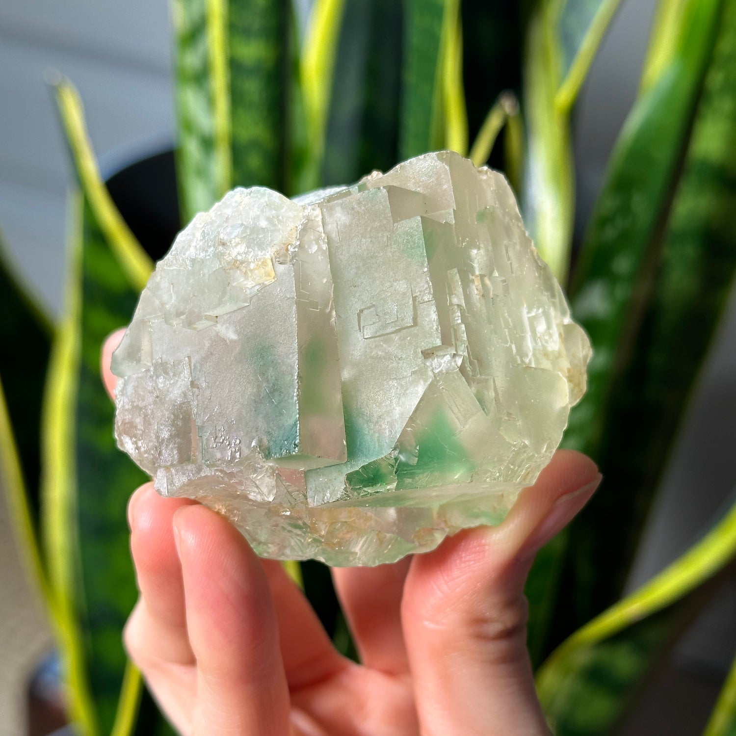 Green Phantom Yttrium Fluorite 💚