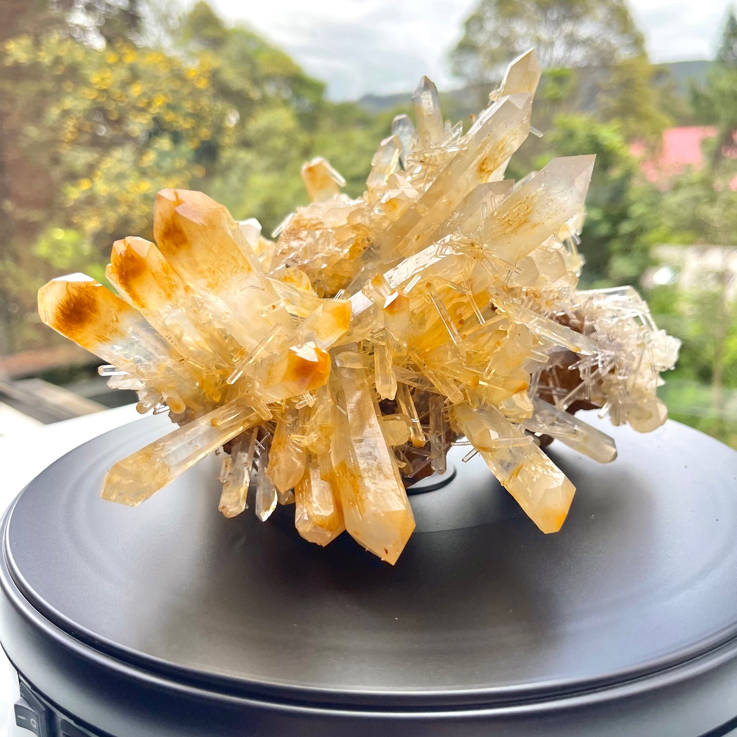 Mango Quartz 🥭