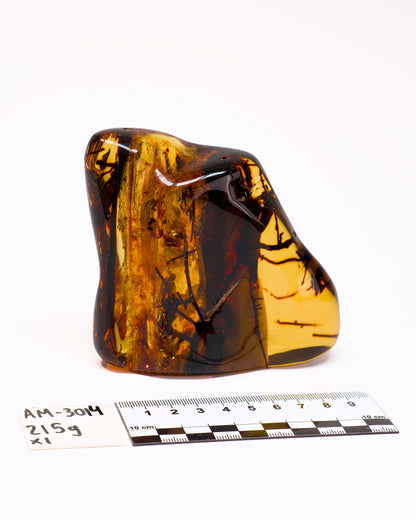 COLOMBIAN AMBER (AM-3014) | WHOLESALE LOT | LARGE SIZE 215g x1
