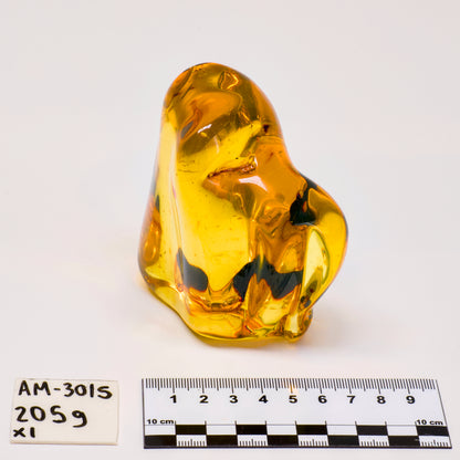 COLOMBIAN AMBER (AM-3015) | WHOLESALE LOT | LARGE SIZE 205g x1