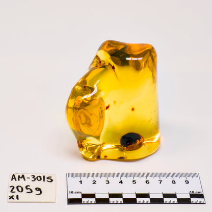 COLOMBIAN AMBER (AM-3015) | WHOLESALE LOT | LARGE SIZE 205g x1