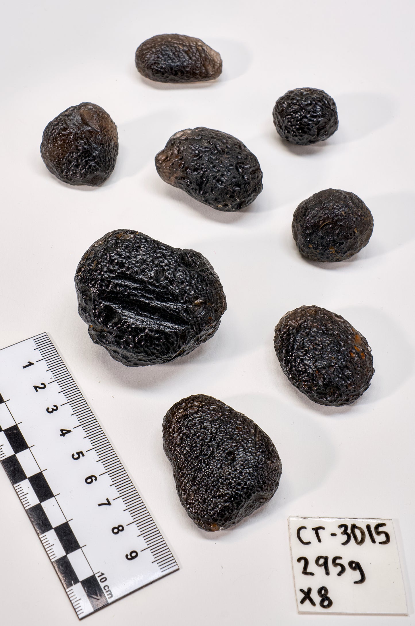 COLOMBIANITE TEKTITE (CT-3015) | WHOLESALE LOT | SMALL SIZE 295g x8