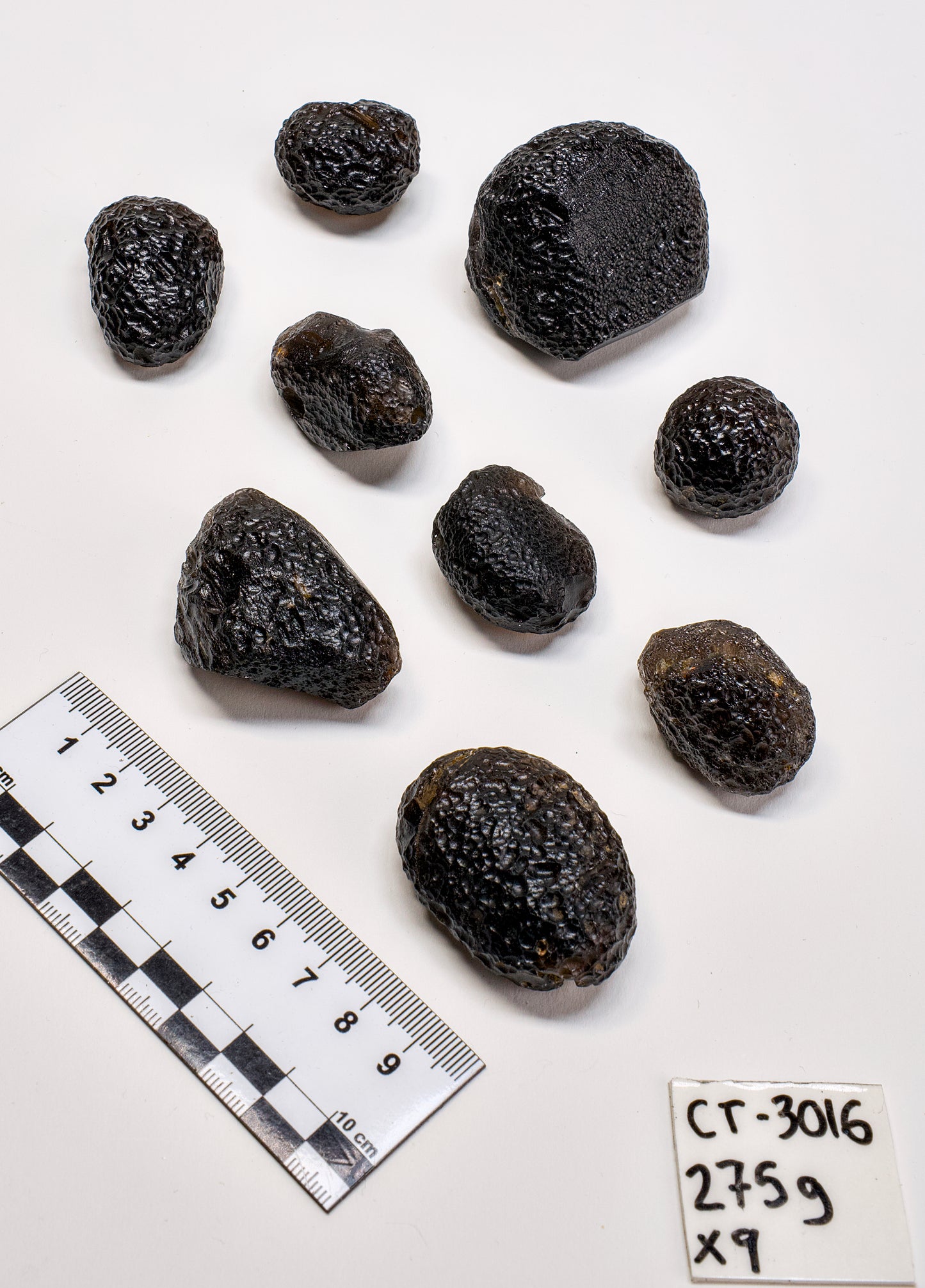 COLOMBIANITE TEKTITE (CT-3016) | WHOLESALE LOT | SMALL SIZE 275g x9