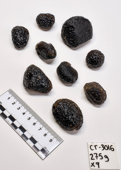 COLOMBIANITE TEKTITE (CT-3016) | WHOLESALE LOT | SMALL SIZE 275g x9