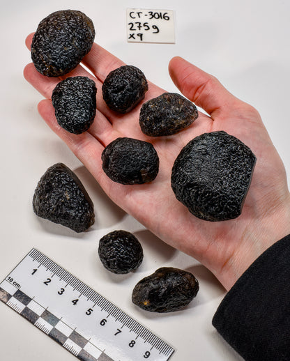 COLOMBIANITE TEKTITE (CT-3016) | WHOLESALE LOT | SMALL SIZE 275g x9