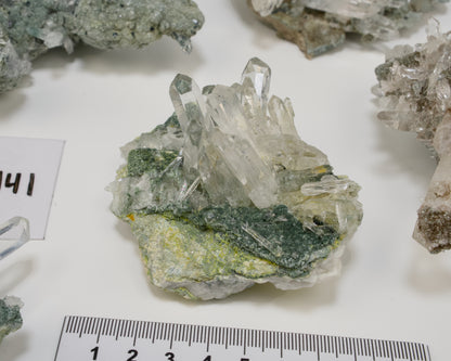 Fuchsite and/or Clinochlore included Lemurian Quartz Clusters (LC-441) 1413g x5