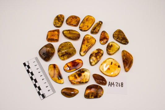 Hand Polished Amber WHOLESALE (AM-218)
