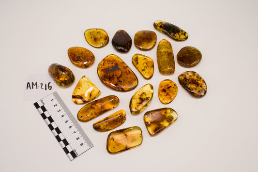 Hand Polished Amber WHOLESALE (AM-216)